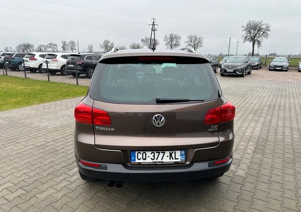 Volkswagen Tiguan cena 52900 przebieg: 184000, rok produkcji 2013 z Zawiercie małe 596